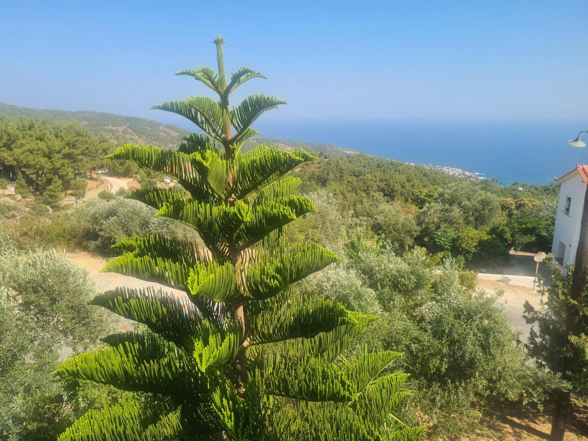 Spitikariotiko Panoramic Home Raches  Dış mekan fotoğraf