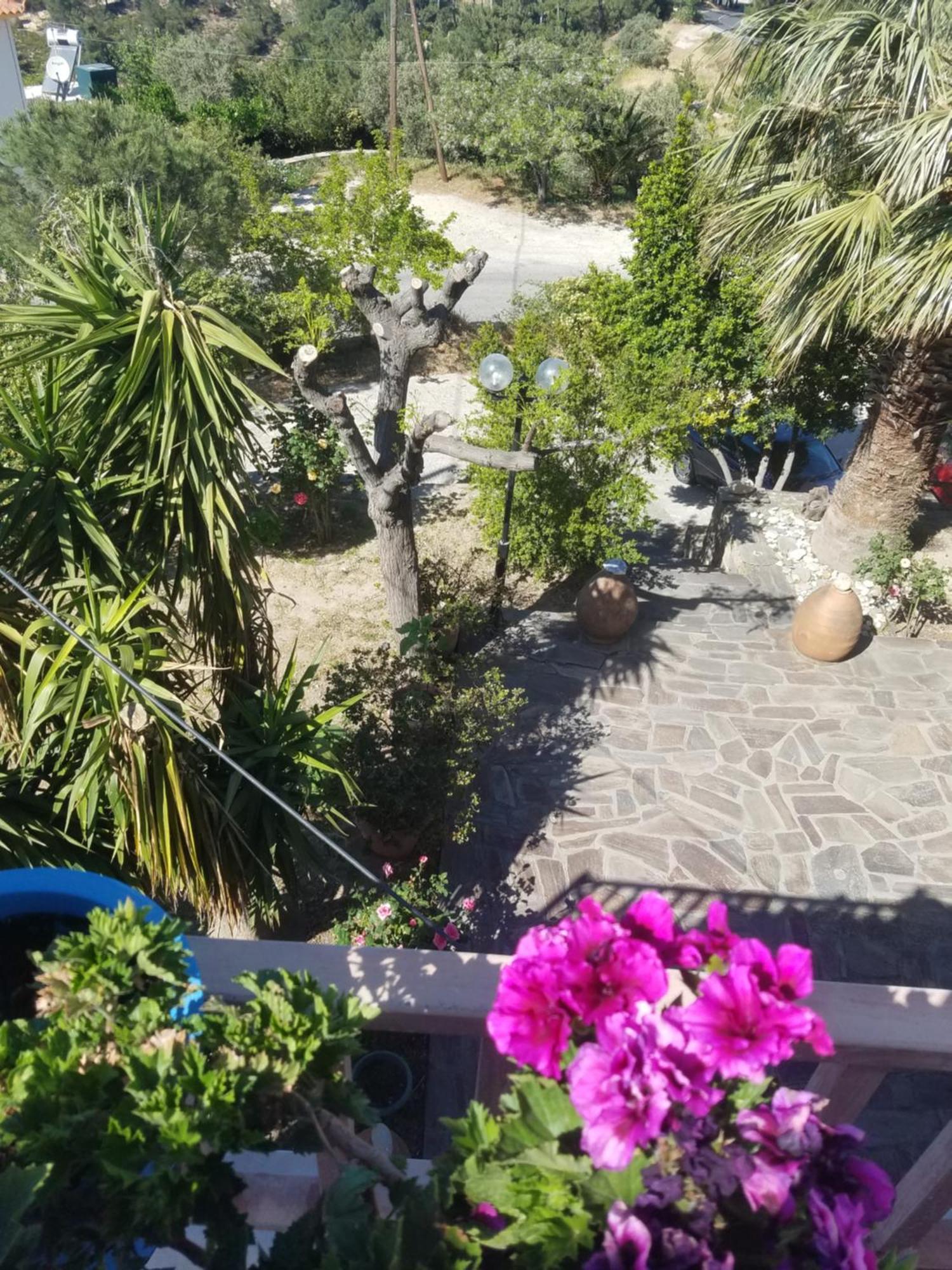 Spitikariotiko Panoramic Home Raches  Oda fotoğraf
